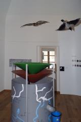 Center narave BK, foto: Branko Babič